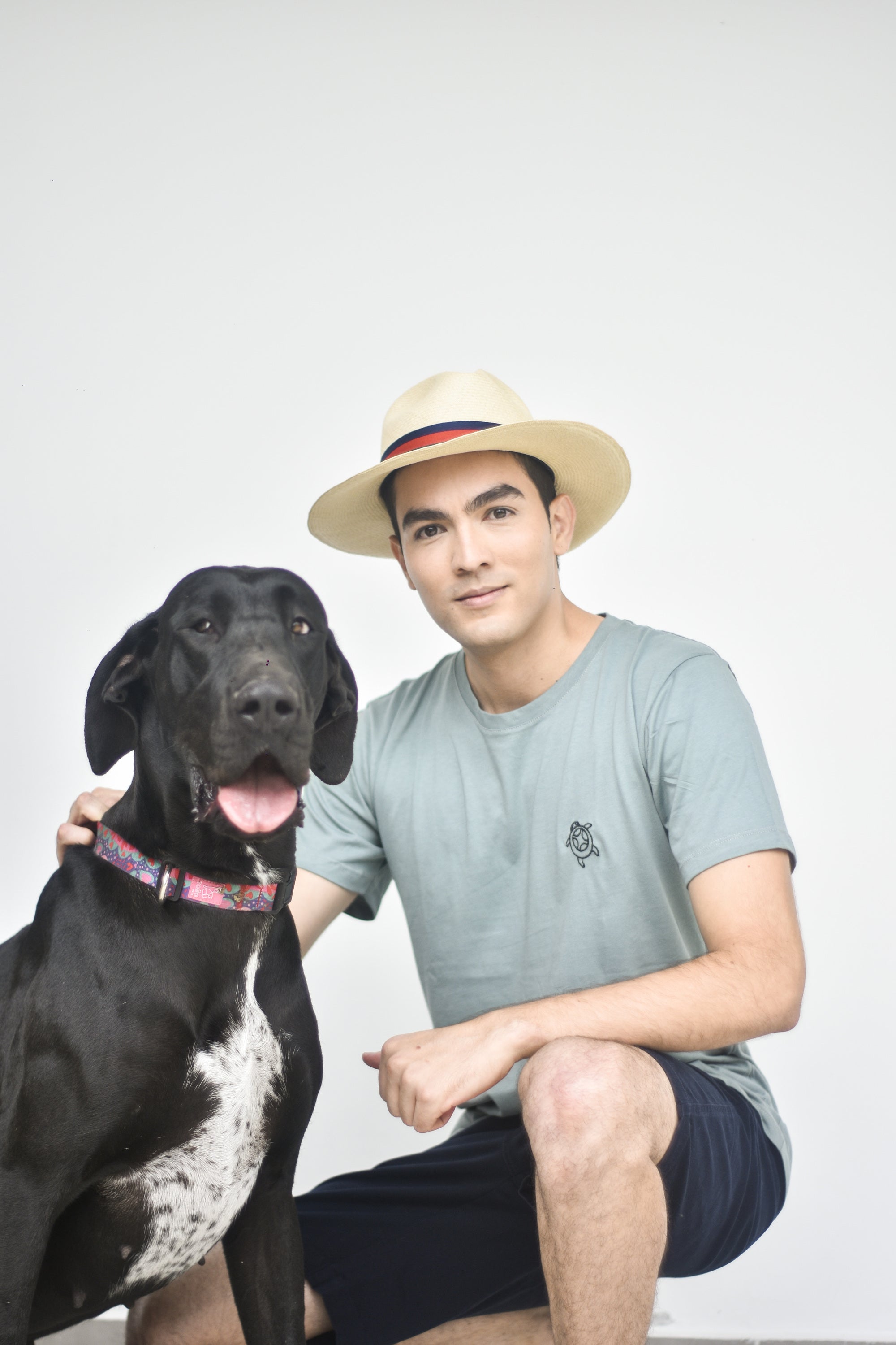 Camiseta básica de algodón - Verde