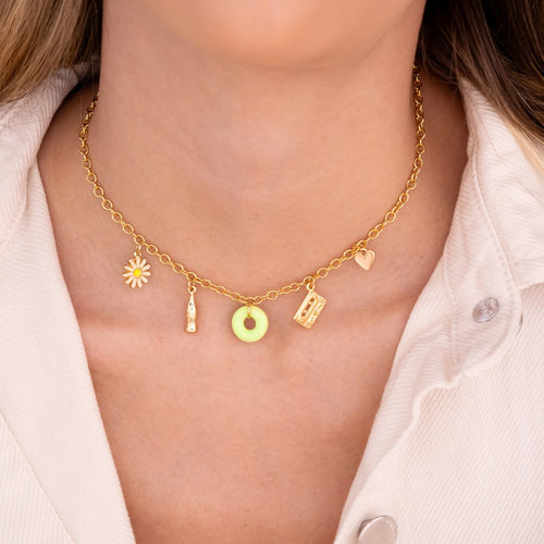 Assorted Charms Necklace + Earrings